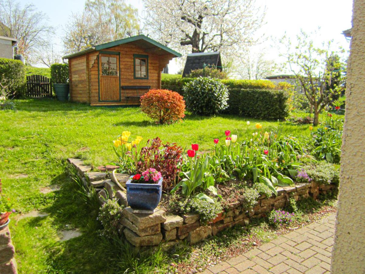 Ferienhaus Am Hainberg Colditz Exteriör bild